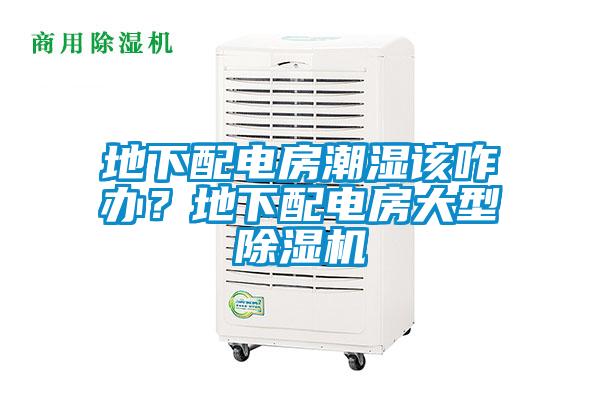 地下配電房潮濕該咋辦？地下配電房大型除濕機(jī)