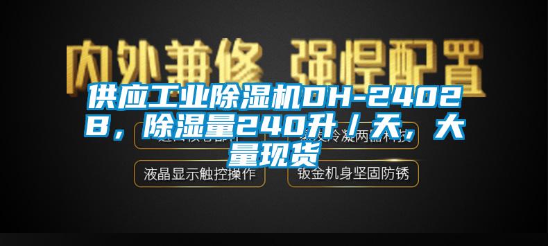 供應工業(yè)除濕機DH-2402B，除濕量240升／天，大量現(xiàn)貨