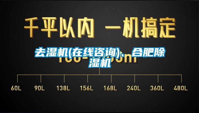 去濕機(jī)(在線咨詢)、合肥除濕機(jī)