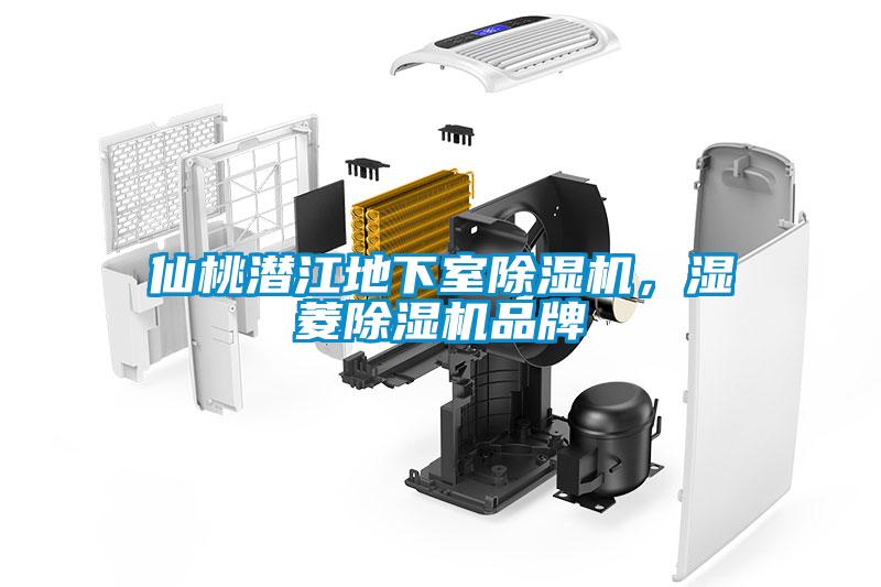 仙桃潛江地下室除濕機(jī)，濕菱除濕機(jī)品牌