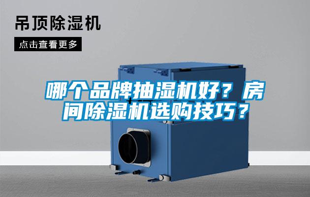 哪個品牌抽濕機(jī)好？房間除濕機(jī)選購技巧？