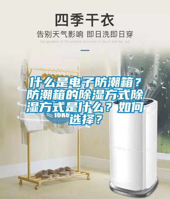 什么是電子防潮箱？防潮箱的除濕方式除濕方式是什么？如何選擇？