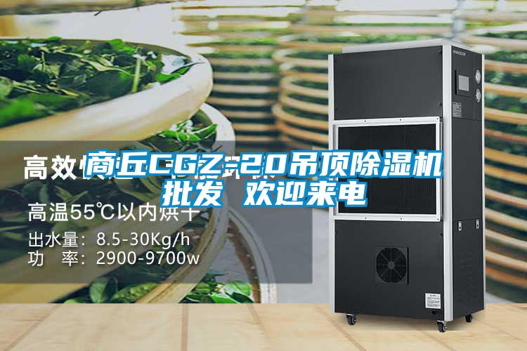 商丘CGZ-20吊頂除濕機批發(fā) 歡迎來電