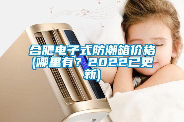 合肥電子式防潮箱價(jià)格(哪里有？2022已更新)