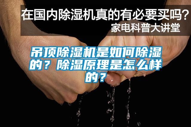 吊頂除濕機(jī)是如何除濕的？除濕原理是怎么樣的？