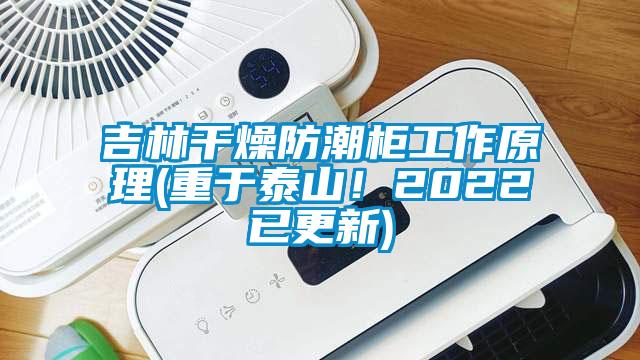 吉林干燥防潮柜工作原理(重于泰山！2022已更新)