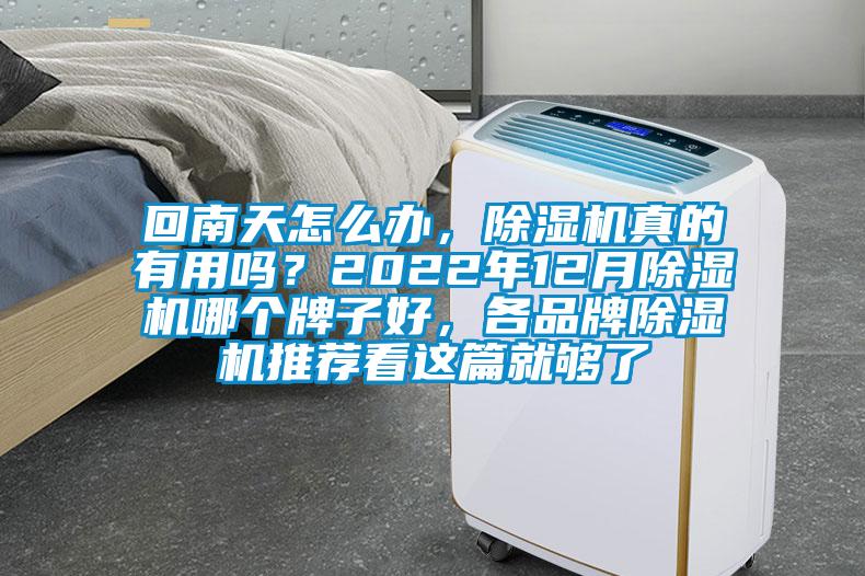 回南天怎么辦，除濕機真的有用嗎？2022年12月除濕機哪個牌子好，各品牌除濕機推薦看這篇就夠了