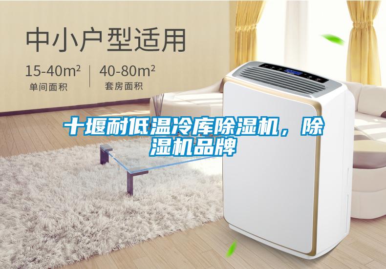 十堰耐低溫冷庫除濕機，除濕機品牌