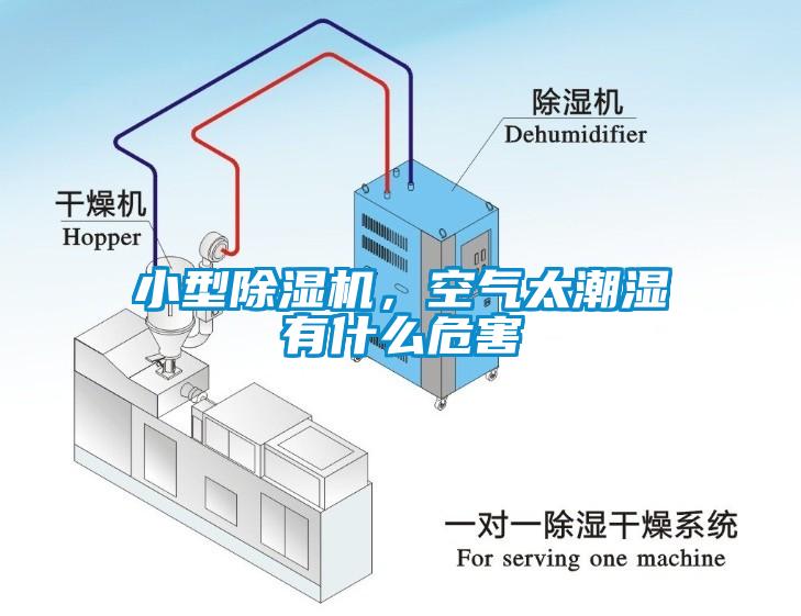 小型除濕機(jī)，空氣太潮濕有什么危害