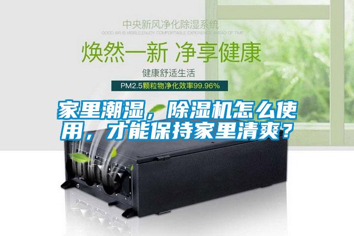 家里潮濕，除濕機(jī)怎么使用，才能保持家里清爽？