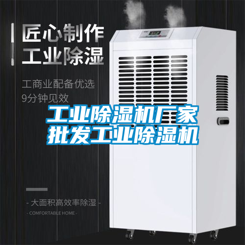 工業(yè)除濕機廠家批發(fā)工業(yè)除濕機