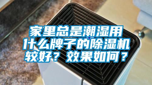 家里總是潮濕用什么牌子的除濕機較好？效果如何？