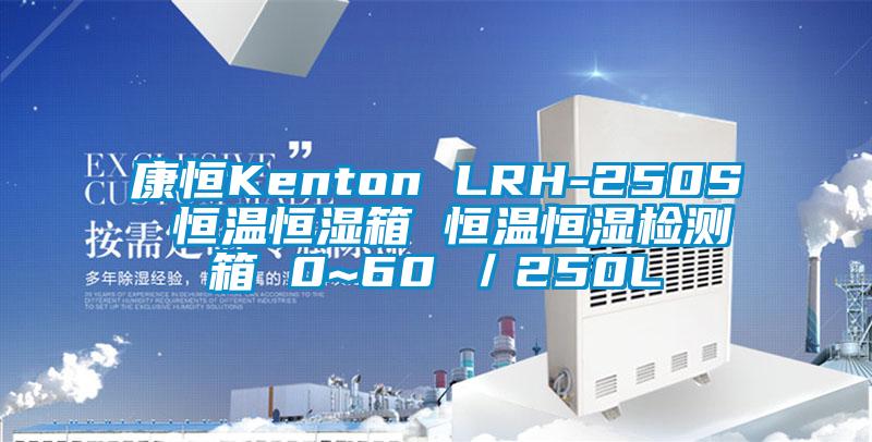 康恒Kenton LRH-250S 恒溫恒濕箱 恒溫恒濕檢測(cè)箱 0~60℃／250L