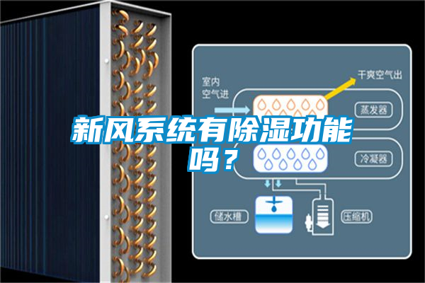 新風(fēng)系統(tǒng)有除濕功能嗎？