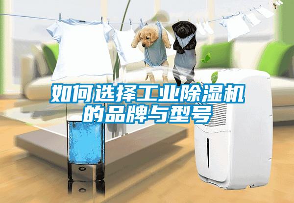 如何選擇工業(yè)除濕機(jī)的品牌與型號(hào)