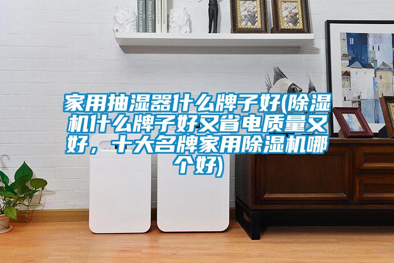 家用抽濕器什么牌子好(除濕機(jī)什么牌子好又省電質(zhì)量又好，十大名牌家用除濕機(jī)哪個好)