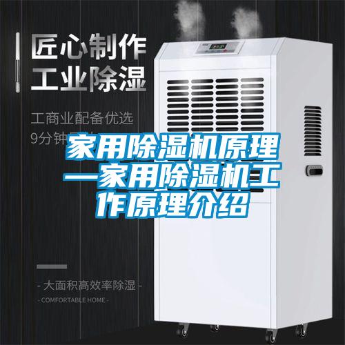 家用除濕機原理—家用除濕機工作原理介紹