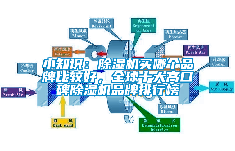 小知識(shí)：除濕機(jī)買哪個(gè)品牌比較好，全球十大高口碑除濕機(jī)品牌排行榜