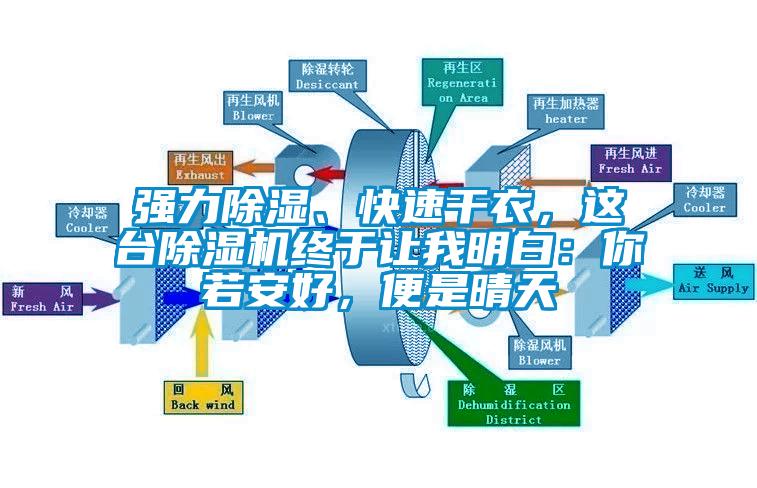 強力除濕、快速干衣，這臺除濕機終于讓我明白：你若安好，便是晴天