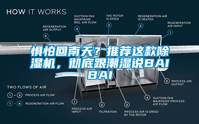 懼怕回南天？推薦這款除濕機，徹底跟潮濕說BAIBAI