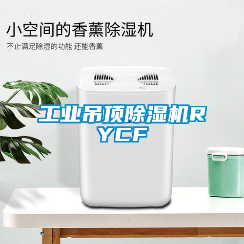 工業(yè)吊頂除濕機(jī)RYCF