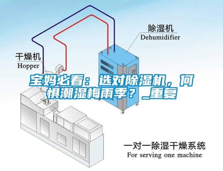 寶媽必看：選對除濕機，何懼潮濕梅雨季？_重復