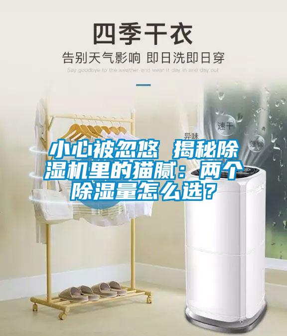 小心被忽悠 揭秘除濕機里的貓膩：兩個除濕量怎么選？