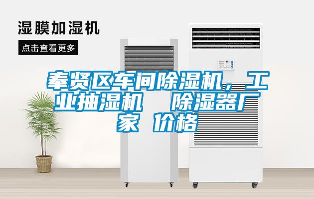 奉賢區(qū)車間除濕機，工業(yè)抽濕機  除濕器廠家 價格