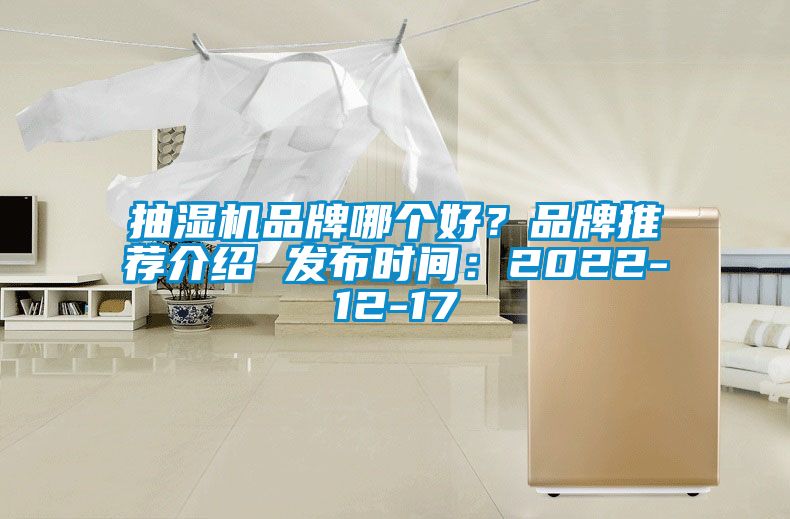 抽濕機品牌哪個好？品牌推薦介紹 發(fā)布時間：2022-12-17