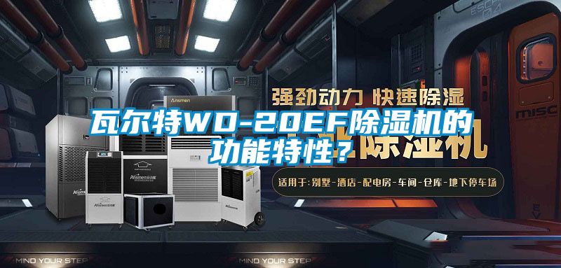 瓦爾特WD-20EF除濕機(jī)的功能特性？