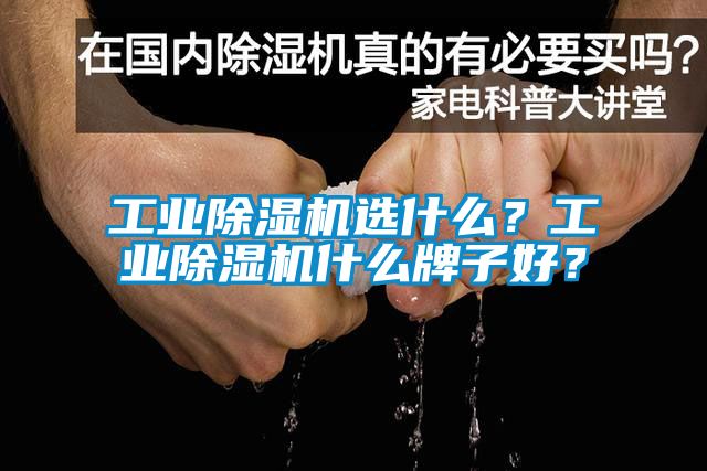 工業(yè)除濕機(jī)選什么？工業(yè)除濕機(jī)什么牌子好？