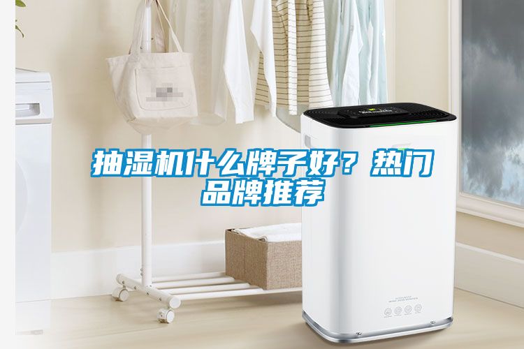 抽濕機什么牌子好？熱門品牌推薦