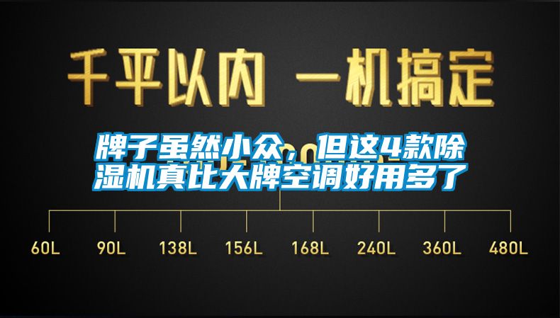 牌子雖然小眾，但這4款除濕機(jī)真比大牌空調(diào)好用多了