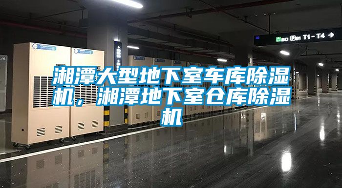 湘潭大型地下室車庫除濕機，湘潭地下室倉庫除濕機