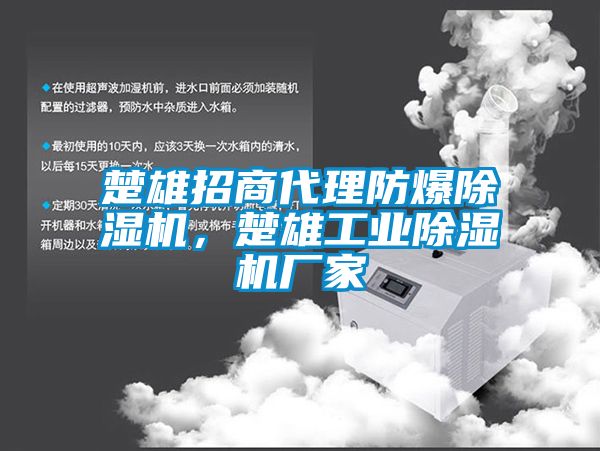 楚雄招商代理防爆除濕機(jī)，楚雄工業(yè)除濕機(jī)廠家