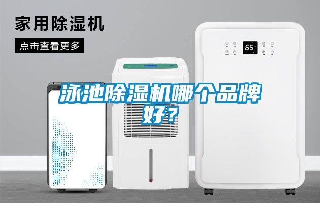 泳池除濕機哪個品牌好？