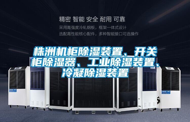 株洲機柜除濕裝置、開關柜除濕器、工業(yè)除濕裝置、冷凝除濕裝置