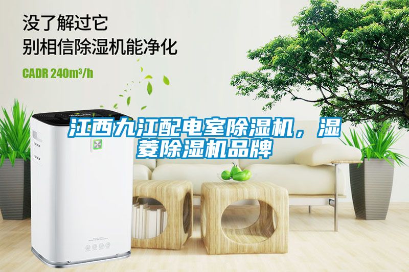 江西九江配電室除濕機，濕菱除濕機品牌