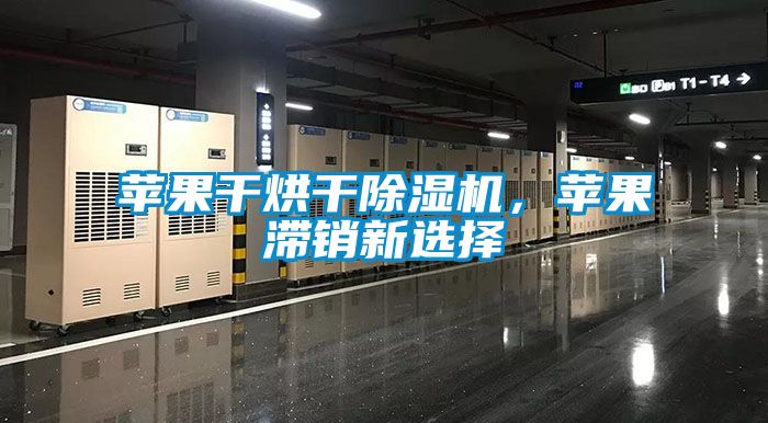 蘋果干烘干除濕機，蘋果滯銷新選擇