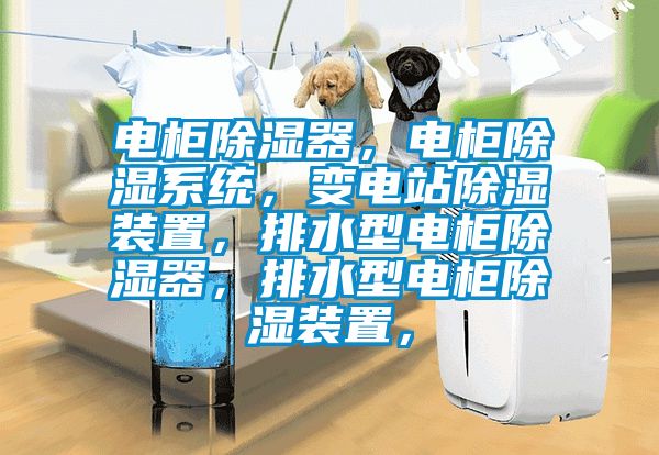 電柜除濕器，電柜除濕系統(tǒng)，變電站除濕裝置，排水型電柜除濕器，排水型電柜除濕裝置，