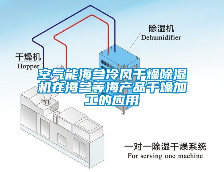 空氣能海參冷風干燥除濕機在海參等海產(chǎn)品干燥加工的應(yīng)用