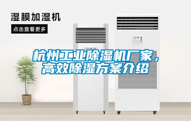 杭州工業(yè)除濕機廠家，高效除濕方案介紹