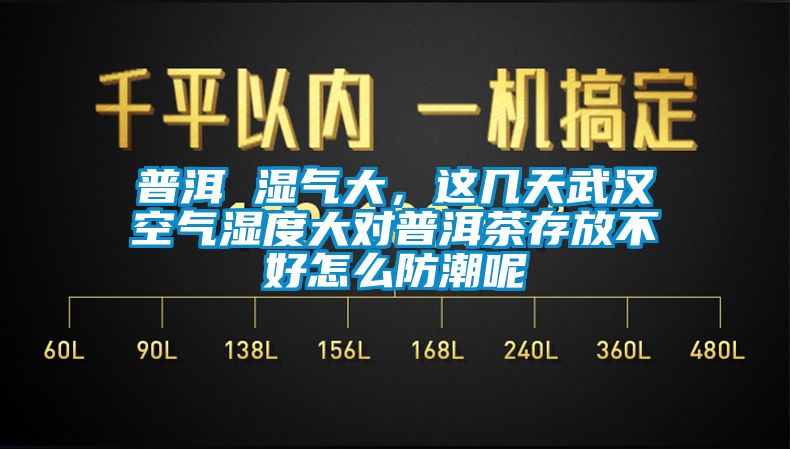 普洱 濕氣大，這幾天武漢空氣濕度大對普洱茶存放不好怎么防潮呢