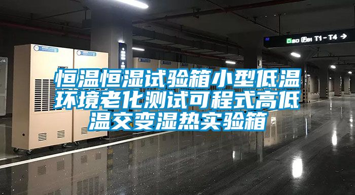 恒溫恒濕試驗箱小型低溫環(huán)境老化測試可程式高低溫交變濕熱實驗箱