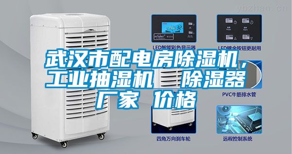 武漢市配電房除濕機，工業(yè)抽濕機  除濕器廠家 價格