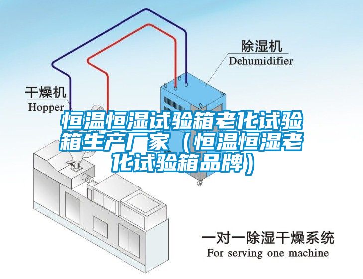 恒溫恒濕試驗(yàn)箱老化試驗(yàn)箱生產(chǎn)廠家（恒溫恒濕老化試驗(yàn)箱品牌）