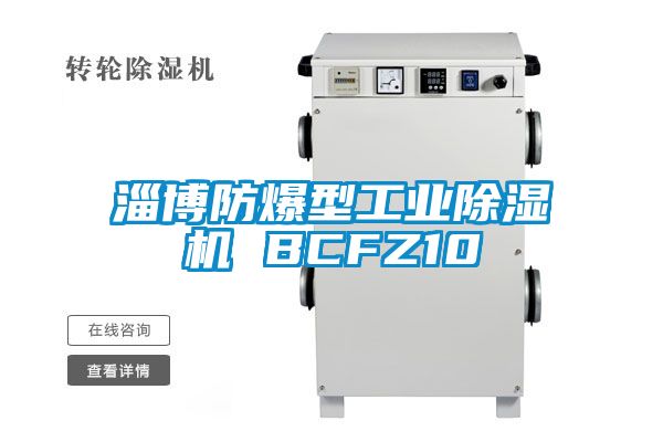 淄博防爆型工業(yè)除濕機 BCFZ10