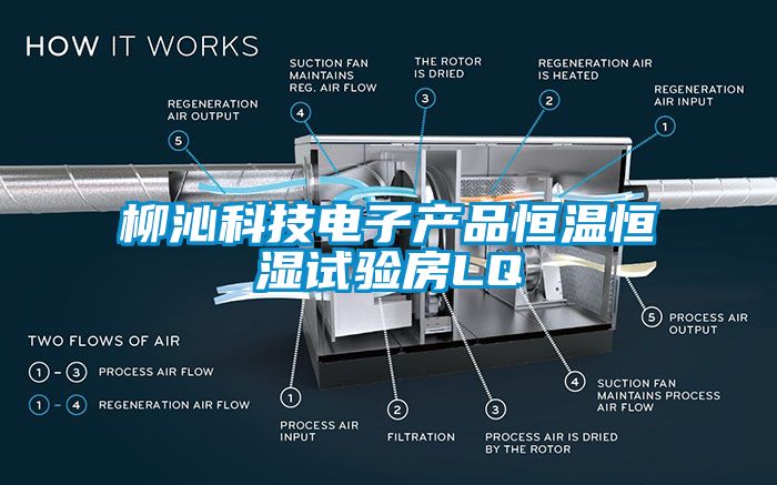 柳沁科技電子產(chǎn)品恒溫恒濕試驗房LQ