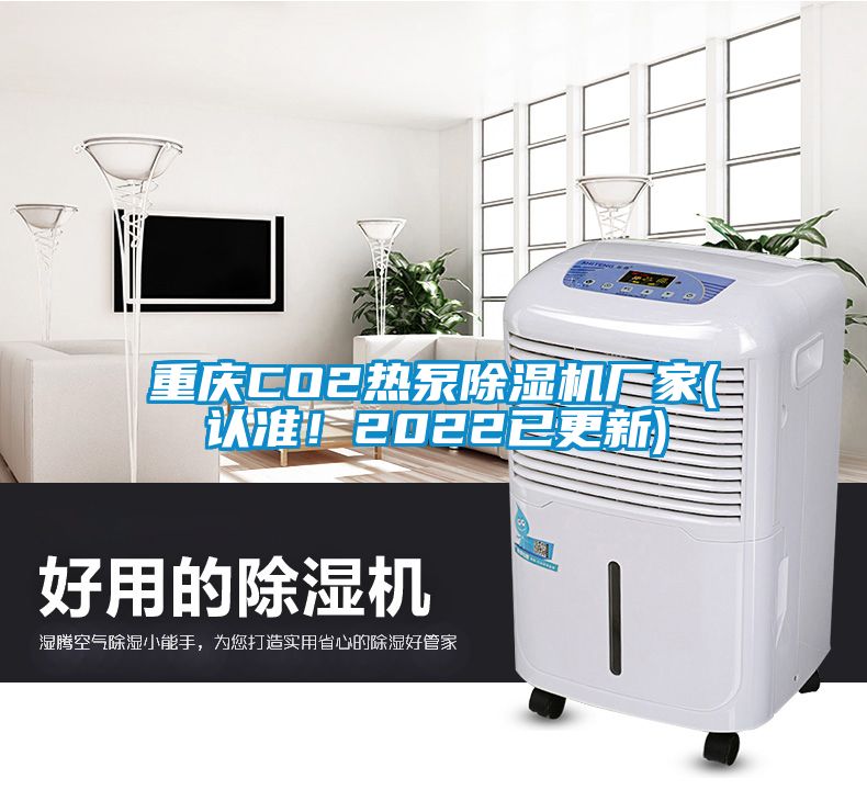 重慶CO2熱泵除濕機(jī)廠家(認(rèn)準(zhǔn)！2022已更新)