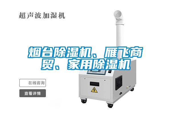 煙臺(tái)除濕機(jī)、雁飛商貿(mào)、家用除濕機(jī)